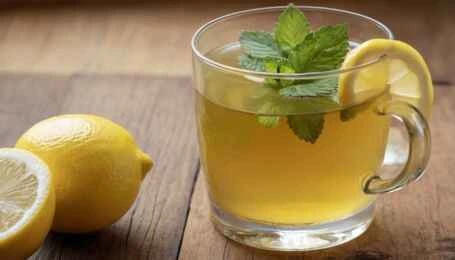 Lemon Balm Recipe for Weight Loss